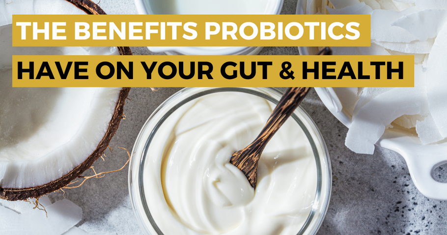 Why Probiotic Supplements Are The Best Health Investment You Can Make